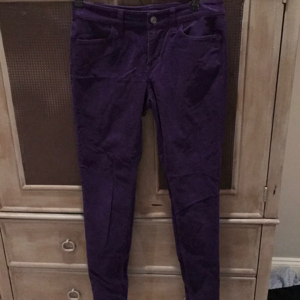 Purple, velvet, women’s pants. Ann Taylor